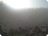 DSC03204